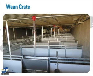 Pig Equipment Durable Nursery Penning for Healthy Weaner Pig Development Nursery Penning Weaner Penning