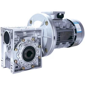 Worm Reducer AC Motor