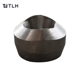 Factory Direct Sale Carbon Steel Branch Outlet Fittings Stainless Steel Socket Weld Branch Outlet Fittings Pipe Bosses