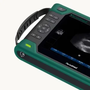 Veterinary Ultrasound