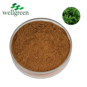 Siberian Ginseng Extract Powder