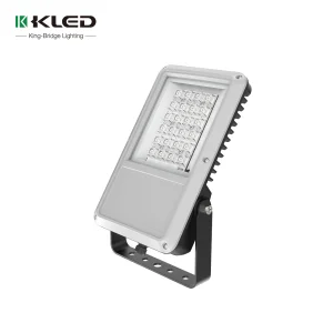 LED Flood Light