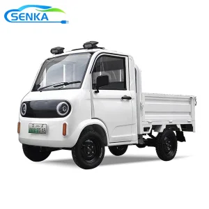 Senka New Energy Vehicles Four-Wheel Single Row 2 Seats Delivery Pickup Truck