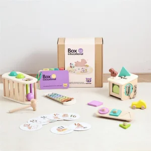 Conjunto Brinquedos Madeira