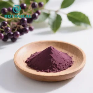 Wholesale Organic Black Elderberry Extract