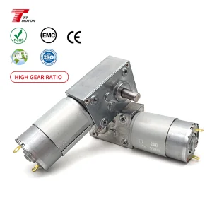 TWG4058-555-EN Micro DC Brush Worm Gear Motor for Mini Lathe