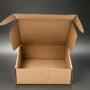 Embalagem de Caixa de Papelão Personalizada