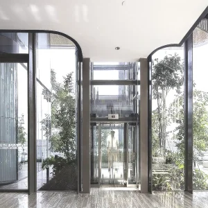 Customized Household Elevator Indoor Outdoor Shaftless Residential Lift with Best Price