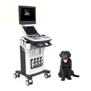 Veterinaria 3D
