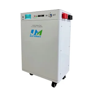 Portable Energy Battery 48V