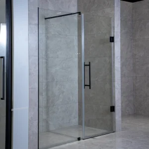 Modern Bathroom New Product High Quality Stainless Steel Pivot Hinge Shower Door