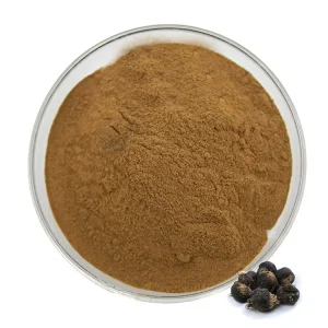 Maca Extract Powder Maca Root Capsules