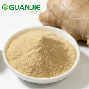 Ginger Root Extract Powder