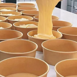 Caixa de comida para viagem biodegradável
