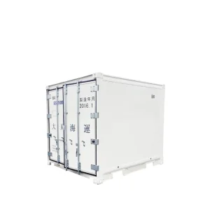 China Cheap 10 Foot Reefer Shipping Container Freezer