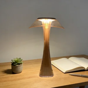 JAIYI Personalized LED Desk Lamp