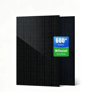 High Energy Performance Double Glass Bifacial N Type Mono Half Cell PV Module Series 600W Solar Panel for Utility Scale