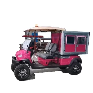 New Arrivals Parison Golf Cart 2 Seats Electric Motor Sightseeing Resort Hotel Outdoor Golf Golf Carts 2025SDZX12PTPR176