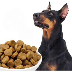 Limited Ingredient Dry Dog Food