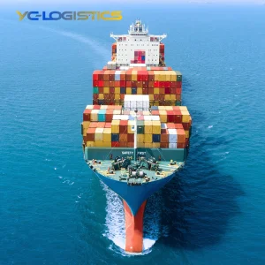 Refrigerated Container Reefer Sea Freight for Perishable Goods From China to USA Ports with Temperature Control