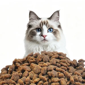 Probiotic High-Protein Cat Food