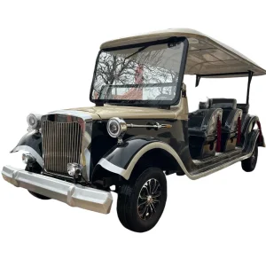 Premium Luxury Classic Model T