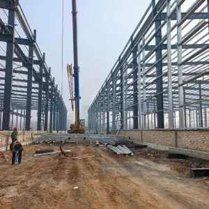 Cold Chain Logistics Refrigerated Storage Steel Structure Warehouse Building