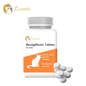 Bexagliflozin Tablets for Cats No-Injection Method for Lowering Blood Sugar