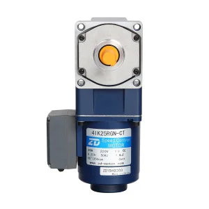 Mini Variable Speed Motor