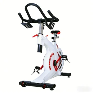 Indoor Spinning Bike
