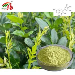 Vine Tea Leaf Extract