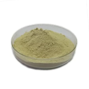 Manufacturer 100% Natural Sevenleaf Gynostemma Extract Gynostemma Pentaphyllum Herbal Plant Extract Gypenosides20%