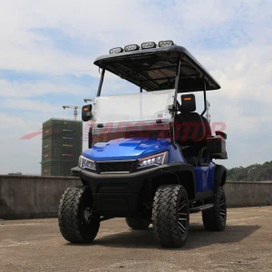 Carros de golfe elétricos de luxo