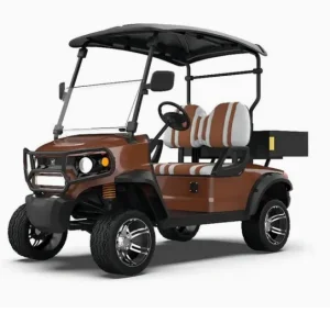 Luxury 2-Seater Electric Comfort-Oriented Golf Cart