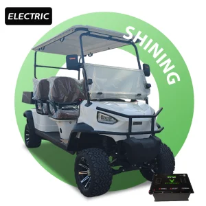 Custom Electric Golf Cart 4 Seater CE Certified