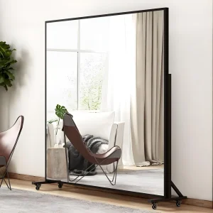 Silver Mirror
