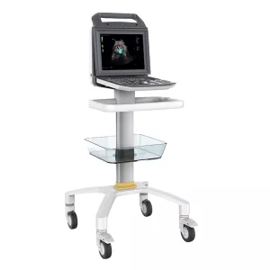 Obstetrics Gynecology Cardiac Portable Ultrasound Machine Full Digital Ultrasonic Diagnostic Imaging System