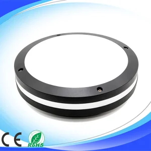 Indoor Motion Sensor LED Ceiling Light
