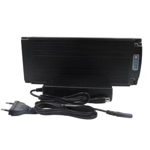 High-Performance 24V 20ah LiFePO4 Battery Pack with Fast Charger