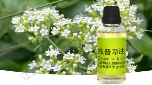 Manufacturers Supply Natural Plant-Derived Patrinia Oil Spice Oil