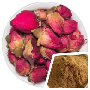 100% Natural Rosa Rugosa Flower Powder Rose Flower Extract