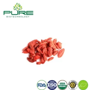 Snack de Goji Orgánico