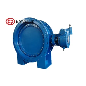 Double Eccentric Valve