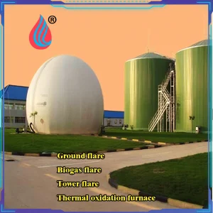 Biogas Energy Utilization