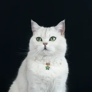 Pearl Pet Collar
