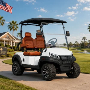Carrinho de Golfe Elétrico de Luxo 2 Lugares