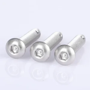 Weatherproof 316 Grade Stainless Steel Tamper-Resistant Safety Screw for Security Equipment