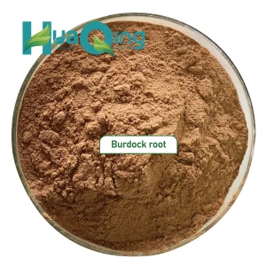 Pure Natural Burdock Root Extract