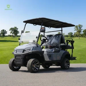 Golf Car Electric Power Buggy Vehicles