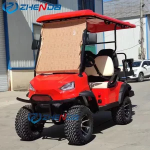 Foldable Electric Buggy Gas Powered